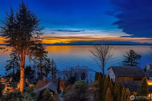 3017AND3019 Perkins Ln W, Seattle, WA 98199 - photo 39