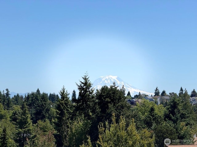 4019 N Vassault St, Tacoma, WA 98407 - mountain view featuring a forest