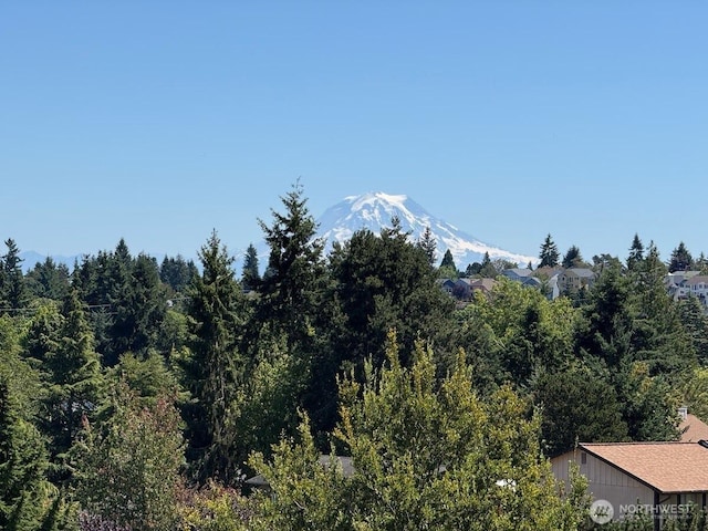 4019 N Vassault St, Tacoma, WA 98407 - view of mountain background with a forest