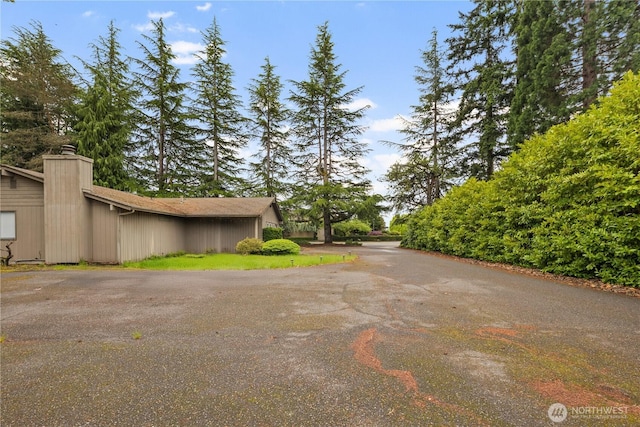 13849 SE 10th St, Bellevue, WA 98005 - view of yard