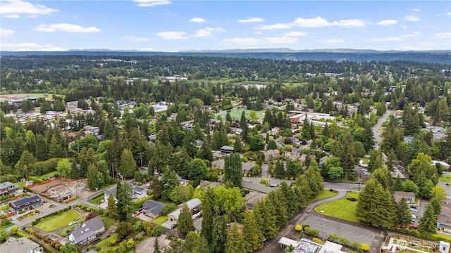 13849 SE 10th St, Bellevue, WA 98005 - bird's eye view of a forest