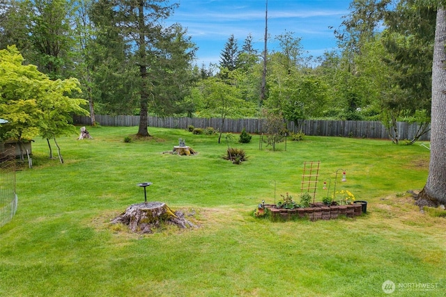 25420 354th Ave SE, Ravensdale, WA 98051 - view of yard