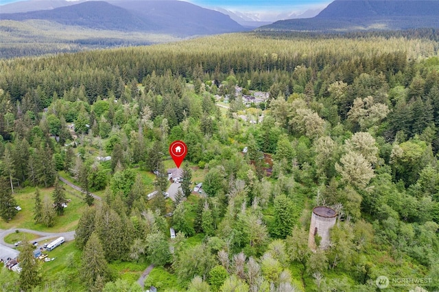 25420 354th Ave SE, Ravensdale, WA 98051 - bird's eye view of a heavily wooded area and a mountainous background