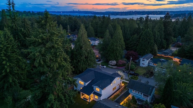 11440 109th Ave NE, Kirkland, WA 98033 - drone / aerial view of a forest