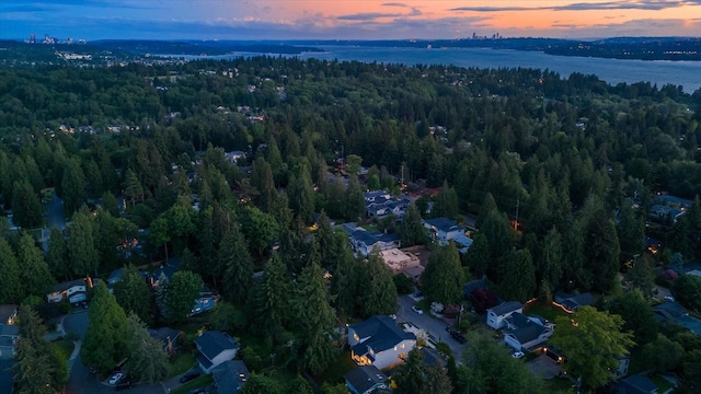 11440 109th Ave NE, Kirkland, WA 98033 - aerial view at dusk of a wooded view