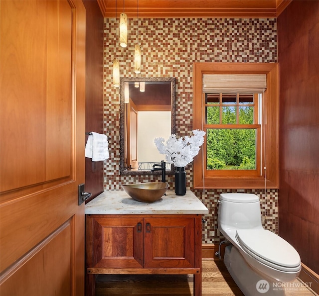 26970 SE Old Black Nugget Rd, Issaquah, WA 98029 - bathroom featuring toilet, backsplash, ornamental molding, and vanity