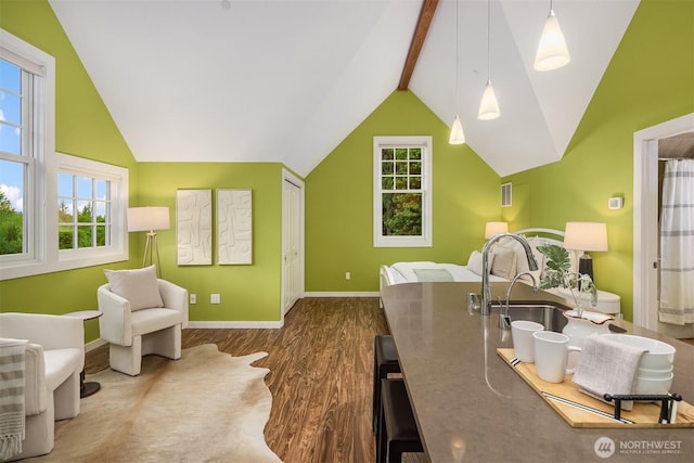 26970 SE Old Black Nugget Rd, Issaquah, WA 98029 - home office featuring wood finished floors, plenty of natural light, baseboards, and a sink