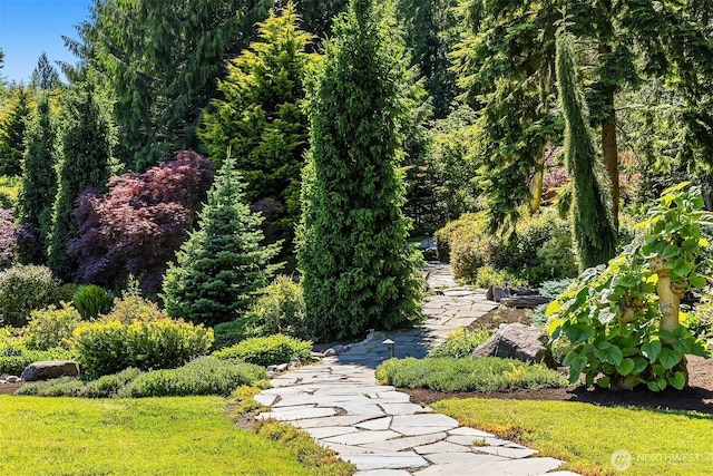 26970 SE Old Black Nugget Rd, Issaquah, WA 98029 - view of yard