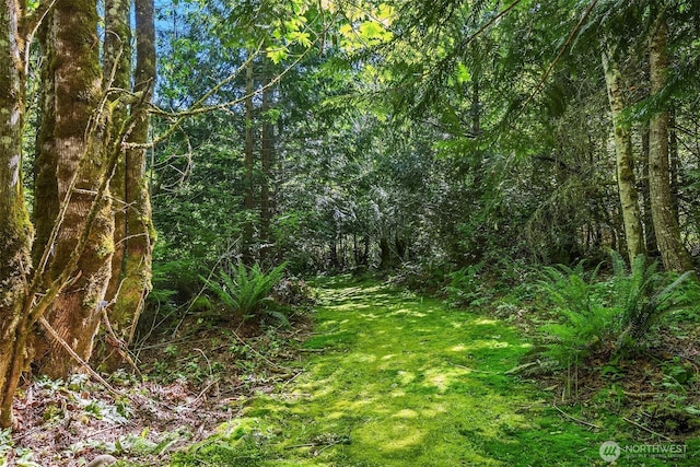 26970 SE Old Black Nugget Rd, Issaquah, WA 98029 - view of woods