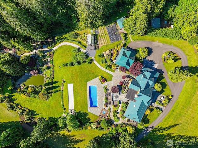 26970 SE Old Black Nugget Rd, Issaquah, WA 98029 - aerial view of a pool area