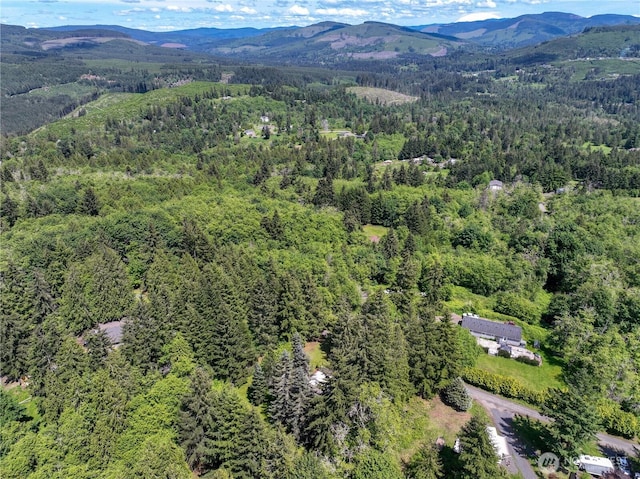 132 Claudine Ct, Kelso, WA 98626 - aerial overview of property's location with a heavily wooded area and a mountain backdrop