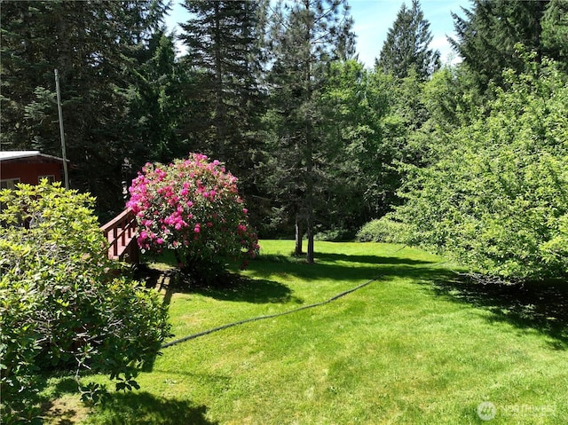 132 Claudine Ct, Kelso, WA 98626 - view of green lawn
