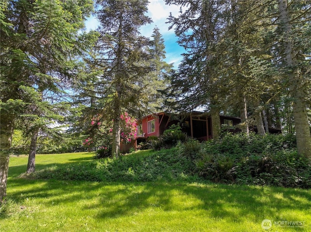 132 Claudine Ct, Kelso, WA 98626 - view of green lawn