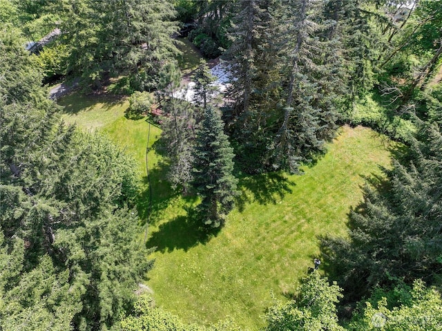 132 Claudine Ct, Kelso, WA 98626 - bird's eye view