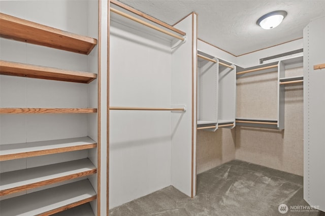 11436SE 208th St Unit 188, Kent, WA 98031 - walk in closet featuring carpet flooring