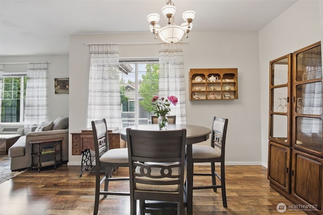10800 SE 17th Cir Unit T220, Vancouver, WA 98664 - dining area featuring dark wood-style flooring, plenty of natural light, and baseboards