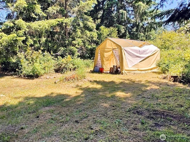 17046 Filbert Ct SE, Yelm, WA 98597 - view of grassy yard