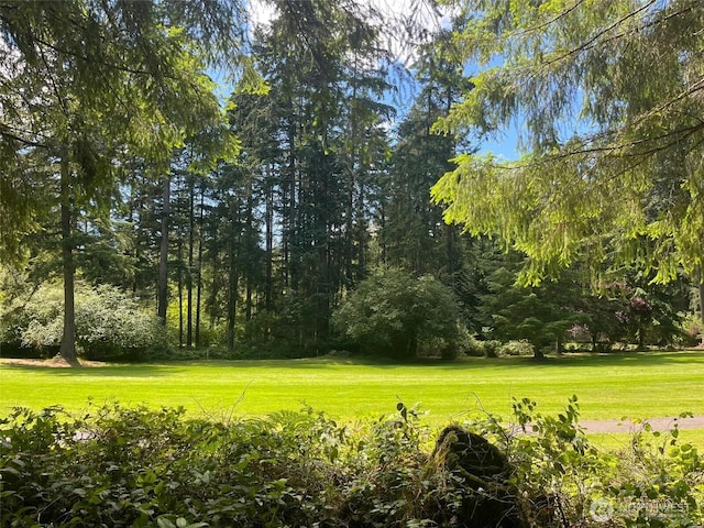 10516 Pioneer Dr, Anderson Island, WA 98303 - photo 1