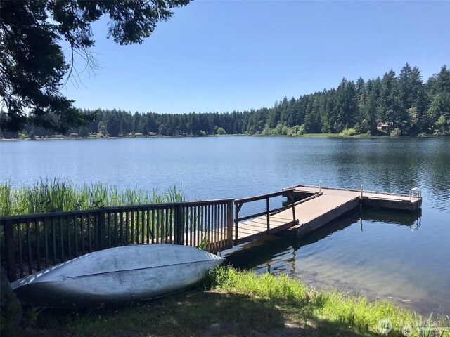 10516 Pioneer Dr, Anderson Island, WA 98303 - photo 7