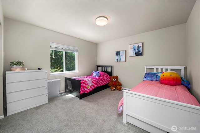 30137 219th Pl SE, Covington, WA 98042 - photo 30