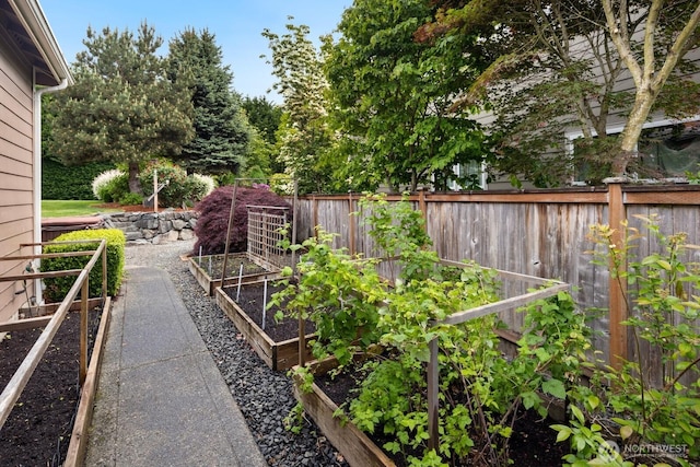 21515 26th St E, Lake Tapps, WA 98391 - view of yard with a vegetable garden