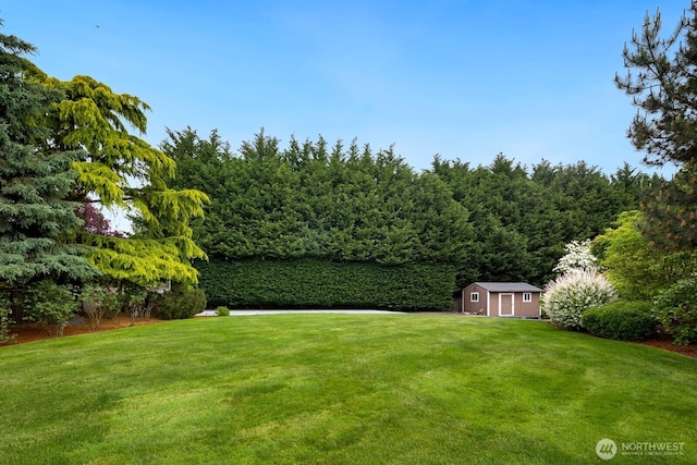 21515 26th St E, Lake Tapps, WA 98391 - view of green lawn with a view of trees