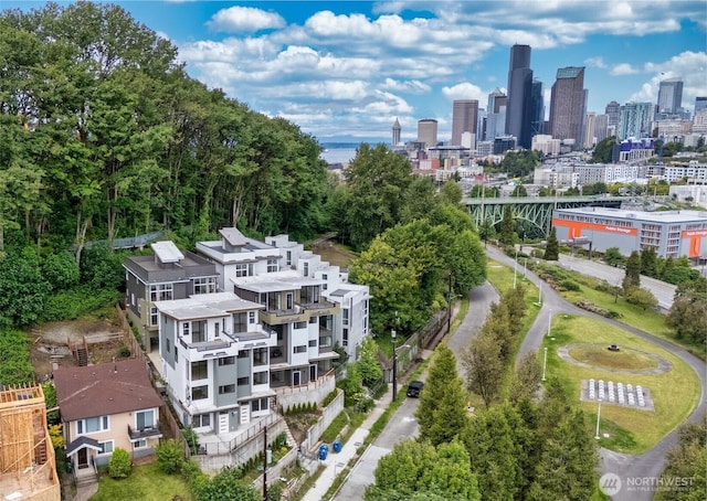 1019 Sturgus Ave S Unit A, Seattle, WA 98144 - drone / aerial view of city skyline