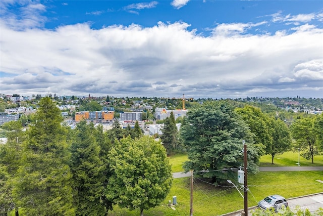1019 Sturgus Ave S Unit A, Seattle, WA 98144 - drone / aerial view