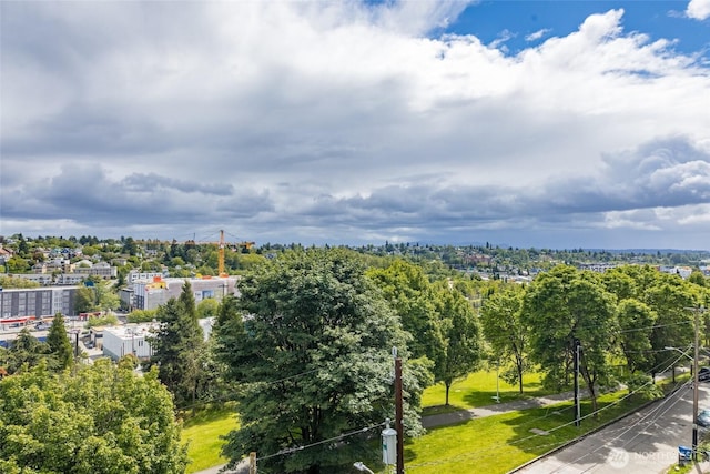 1019 Sturgus Ave S Unit A, Seattle, WA 98144 - drone / aerial view