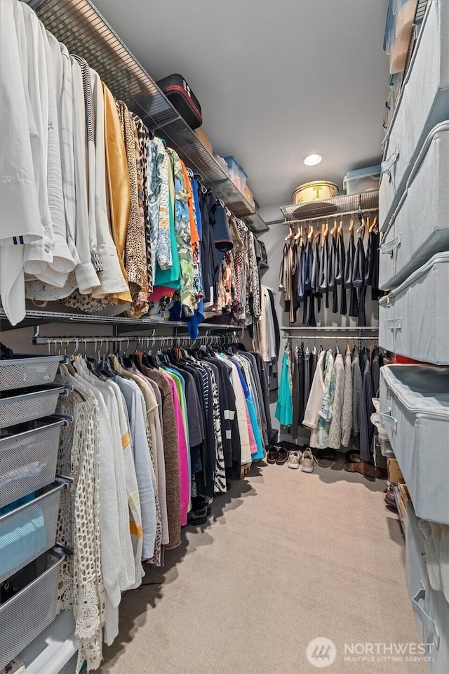 1505 E Horizon Dr, Mukilteo, WA 98275 - walk in closet with carpet flooring