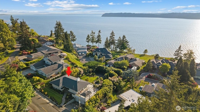1505 E Horizon Dr, Mukilteo, WA 98275 - aerial overview of property's location featuring nearby suburban area and a large body of water