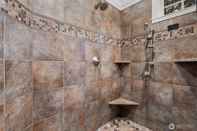 2920 39th Ln NW, Olympia, WA 98502 - bathroom view of tiled shower