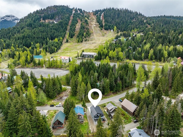 400 Hyak Dr E, Snoqualmie Pass, WA 98068 - aerial view of a forest and a mountainous background