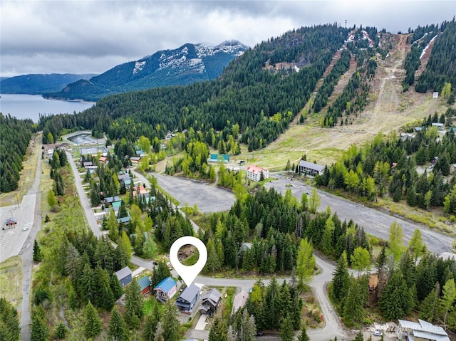 400 Hyak Dr E, Snoqualmie Pass, WA 98068 - bird's eye view of a forest and a water and mountain view