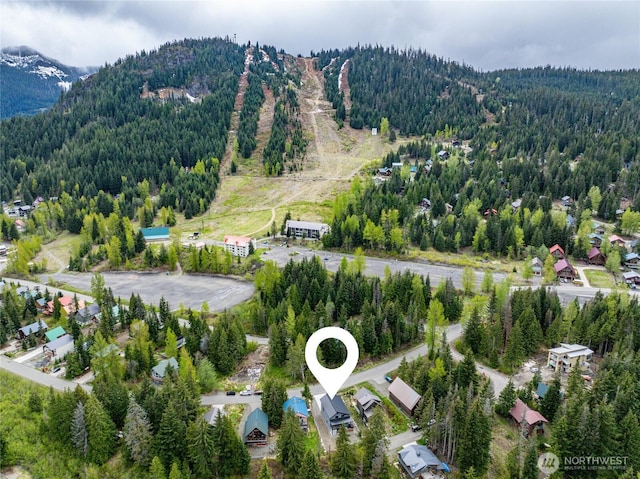 400 Hyak Dr E, Snoqualmie Pass, WA 98068 - drone / aerial view of a forest and a mountainous background