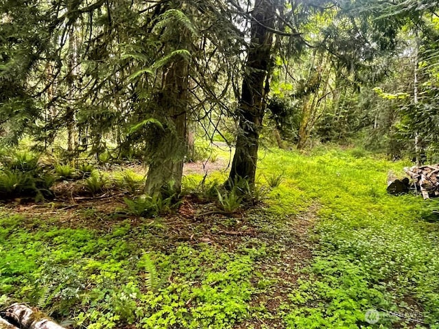 293 Zion View Ln, Quilcene, WA 98376