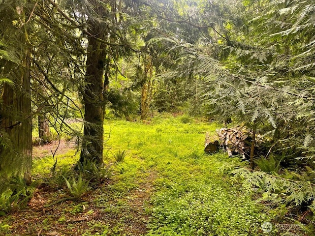 293 Zion View Ln, Quilcene, WA 98376