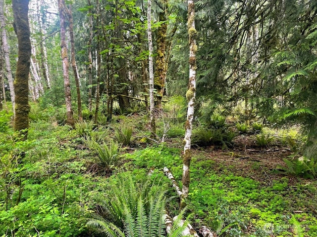 293 Zion View Ln, Quilcene, WA 98376