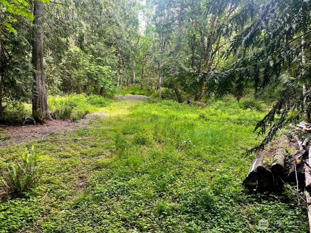 293 Zion View Ln, Quilcene, WA 98376