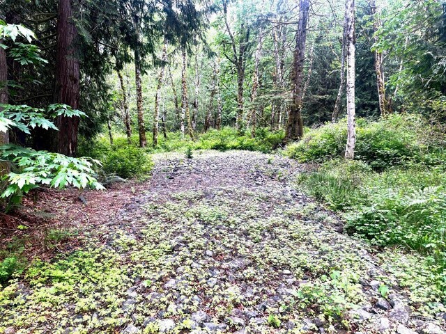 293 Zion View Ln, Quilcene, WA 98376