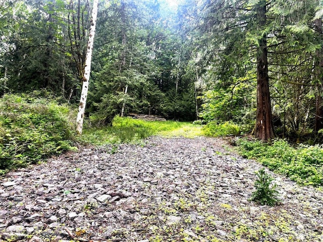 293 Zion View Ln, Quilcene, WA 98376