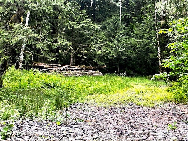 293 Zion View Ln, Quilcene, WA 98376