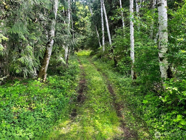 293 Zion View Ln, Quilcene, WA 98376