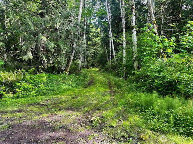 293 Zion View Ln, Quilcene, WA 98376