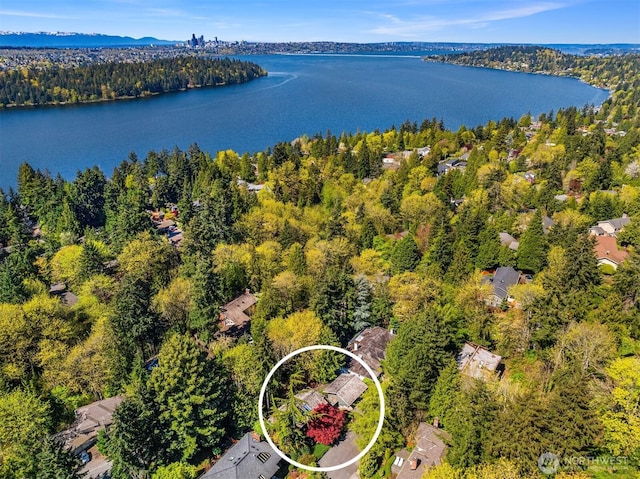 6160 W Mercer Way, Mercer Island, WA 98040 - aerial view of a forest and a nearby body of water