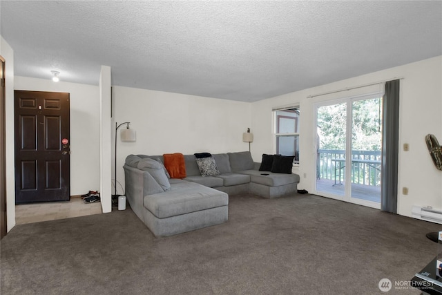 8024 N Bicentennial Loop SE, Lacey, WA 98503 - living area featuring carpet flooring, a textured ceiling, and a baseboard radiator