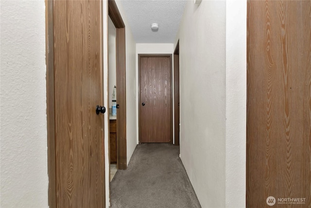 8024 N Bicentennial Loop SE, Lacey, WA 98503 - hallway with carpet and a textured ceiling