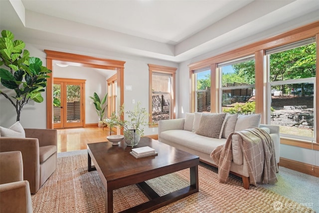 23623 20th Ave W, Bothell, WA 98021 - living room featuring healthy amount of natural light and a tray ceiling