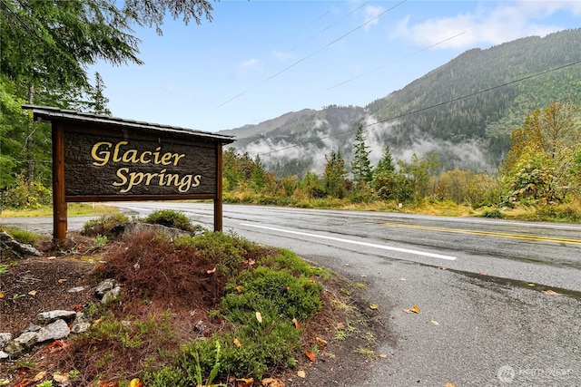 7493 Miller Way, Deming, WA 98244 - view of asphalt street featuring a mountain view and a view of trees