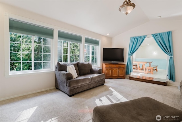 4 Alder Ct, Bellingham, WA 98229 - carpeted living room with lofted ceiling and baseboards